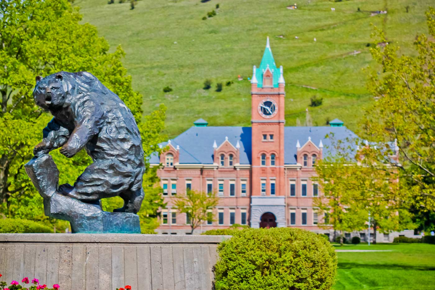 University of Montana